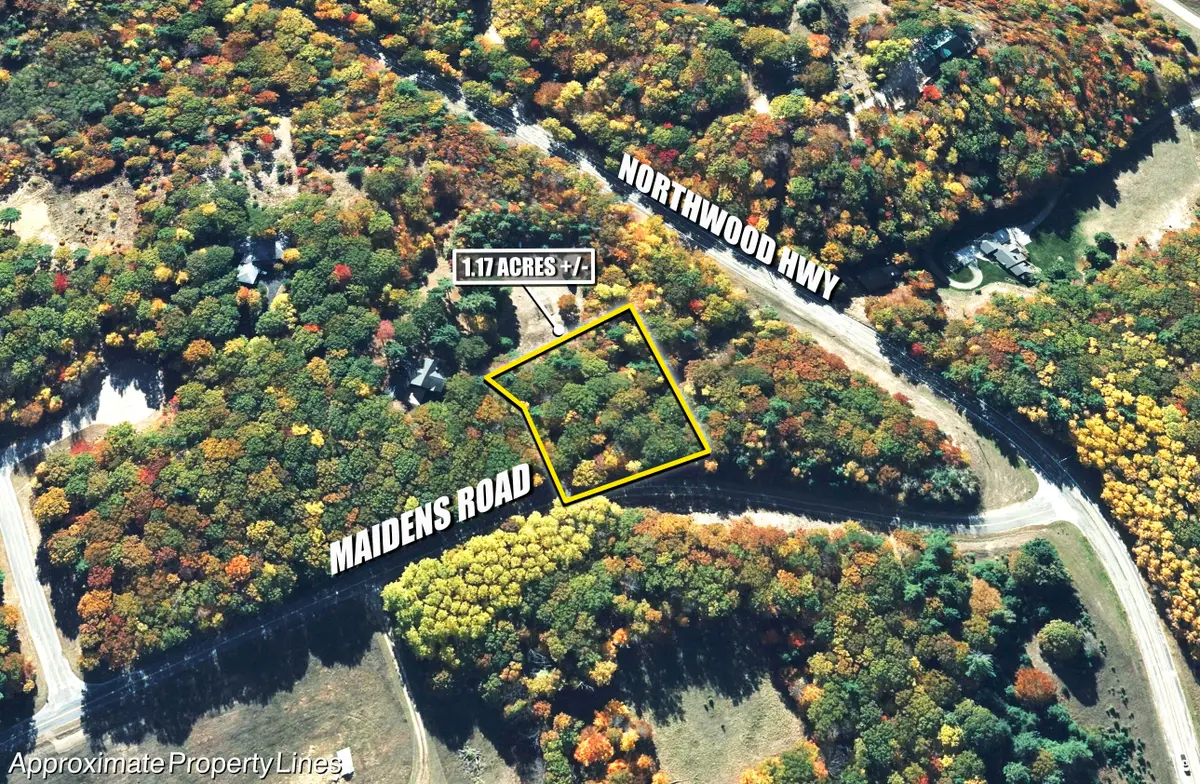 Maidens Road, Onekama, MI 49675 - #1