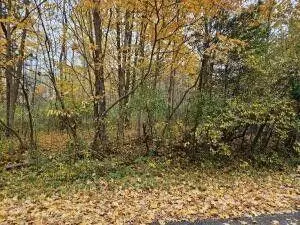 V/l Macbeth Avenue, South Haven, MI 49090