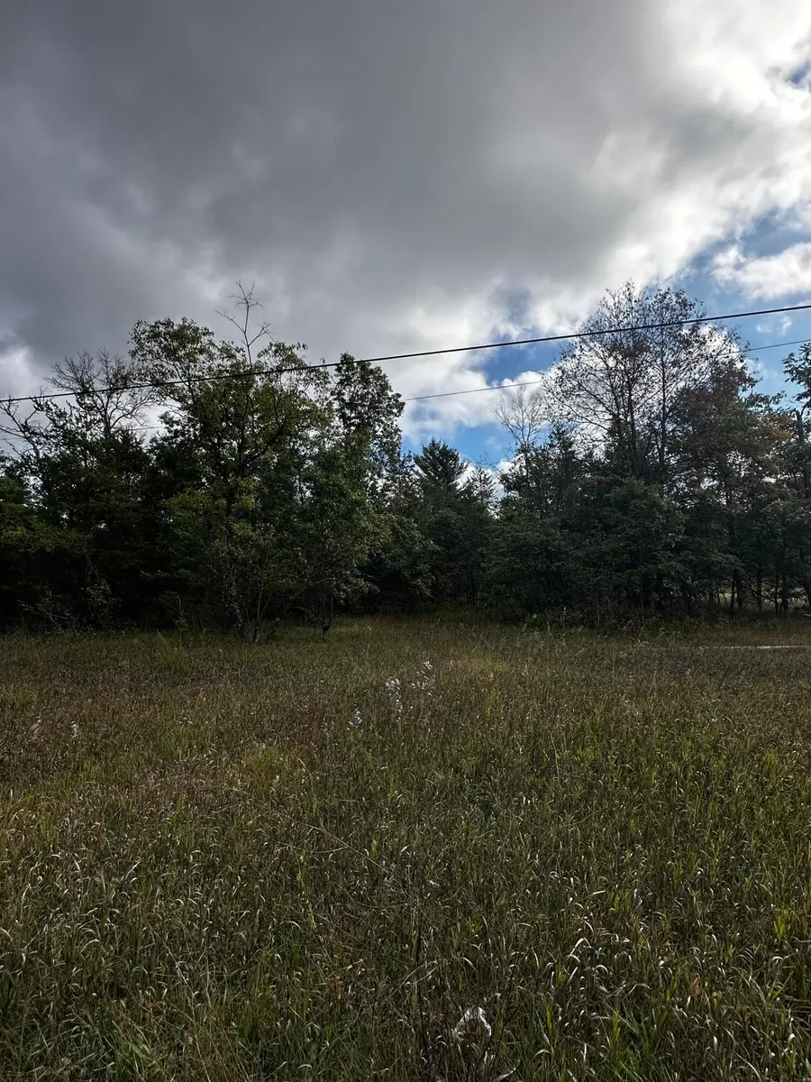 3448 S M-37, Baldwin, MI 49304 - Image #2