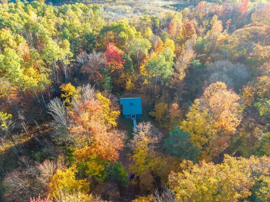 16698 220th Avenue, Big Rapids, MI 49307 - Image #2