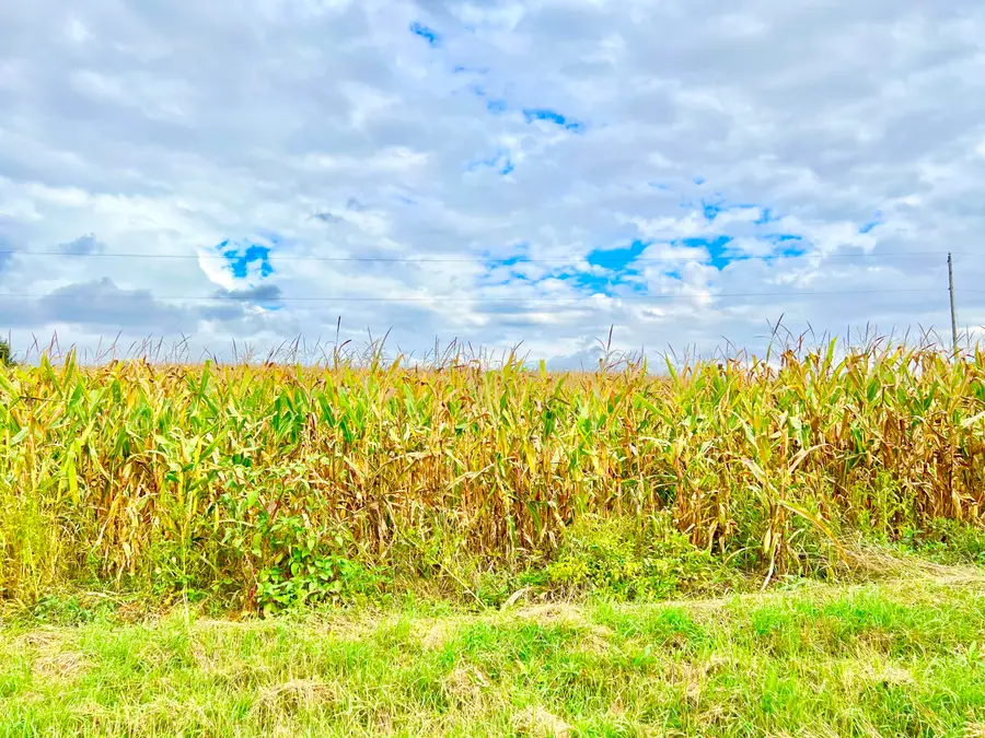 0 Crampton Road, Hillsdale, MI 49242 - Image #2