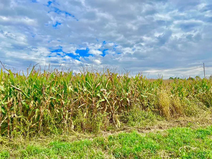 0 Crampton Road, Hillsdale, MI 49242 - Image #3