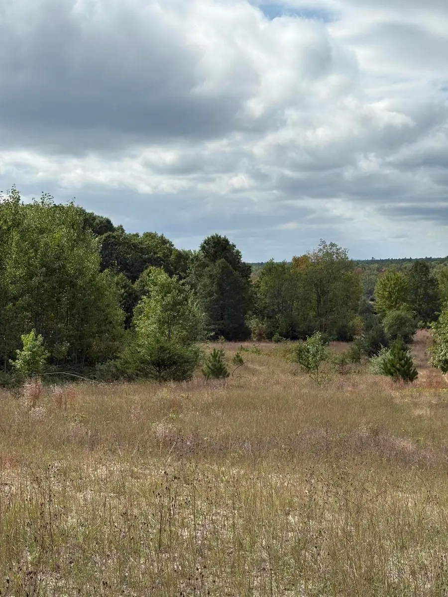 7267 S Snyder Road Sw, Fife Lake, MI 49633 - Image #3