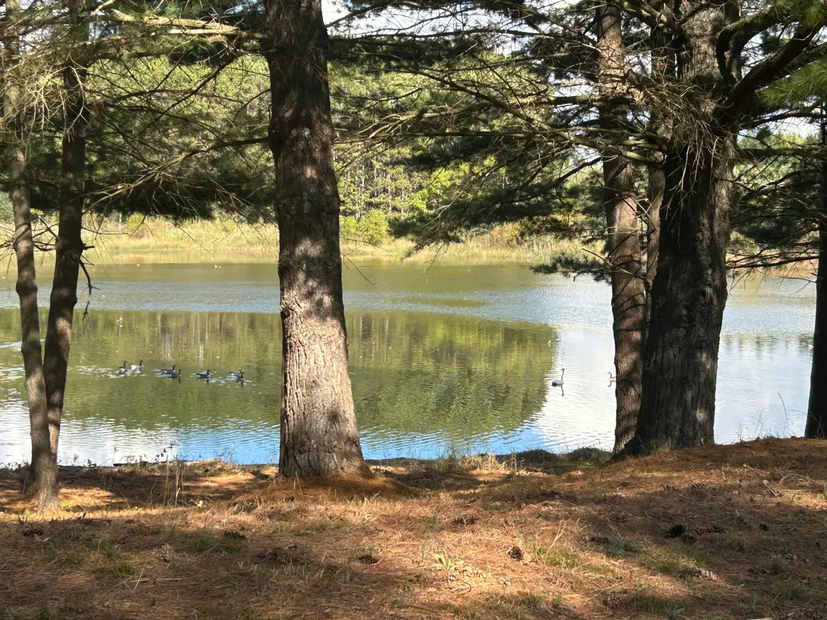 6878 Bantry Bay #3, Stanwood, MI 49346 - Image #1