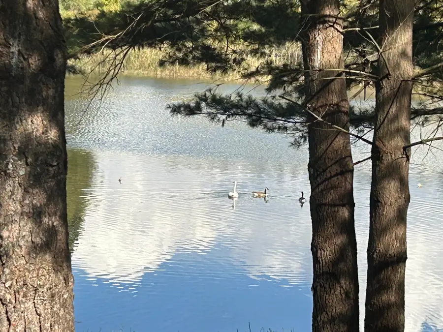 6878 Bantry Bay #3, Stanwood, MI 49346 - Image #3