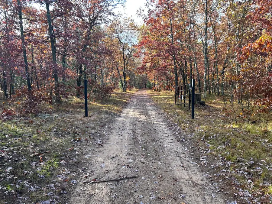 E County Line Road, Free Soil, MI 49411 - Image #2