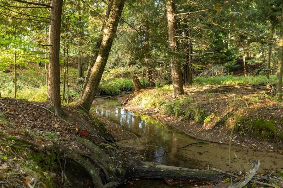 5125 S 148th Ave., Hesperia, MI 49421 - Image #2