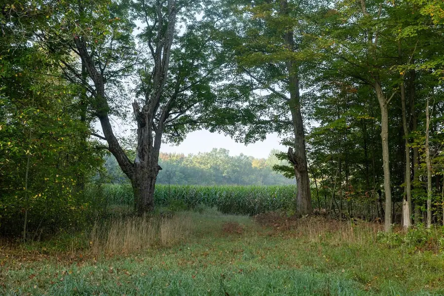 5125 S 148th Ave., Hesperia, MI 49421 - Image #3