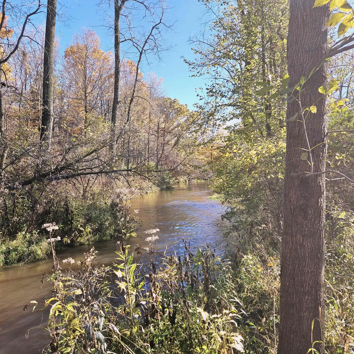 0000 East Dayton Road, Caro, MI 48723 - Image #1