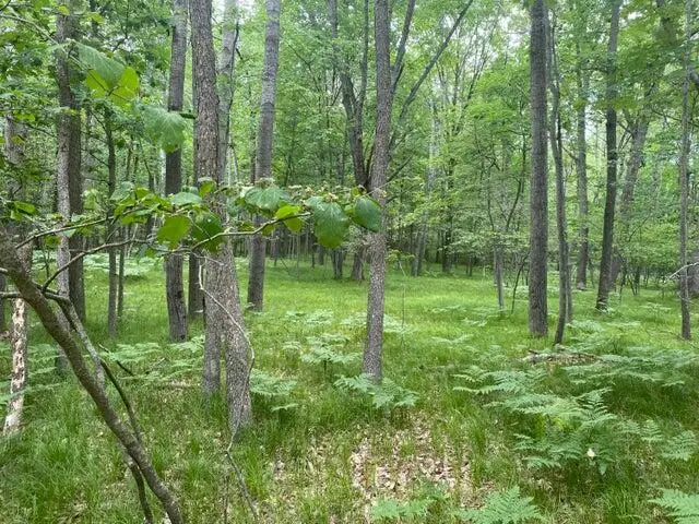 12060 Chinook Drive #408, Stanwood, MI 49346 - Image #2