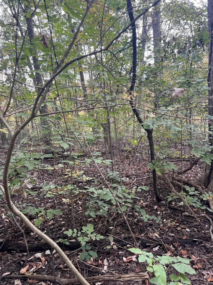 V/l Riverdale Rd, Whitmore Lake, MI 48189 - Image #3