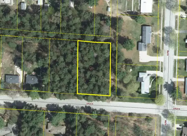 VL Brook Avenue, Kaleva, MI 49645