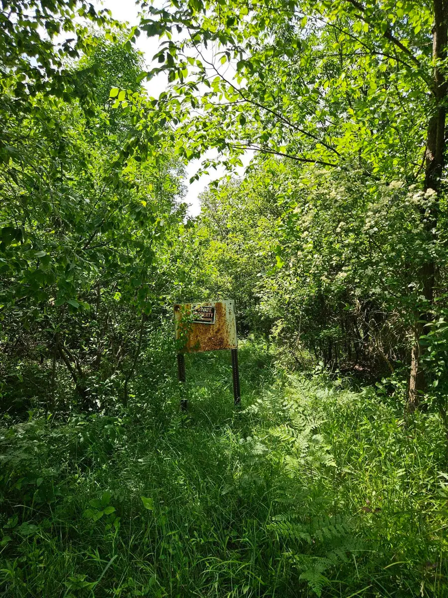 00 Sarsi Cove, Evart, MI 49631 - Image #2