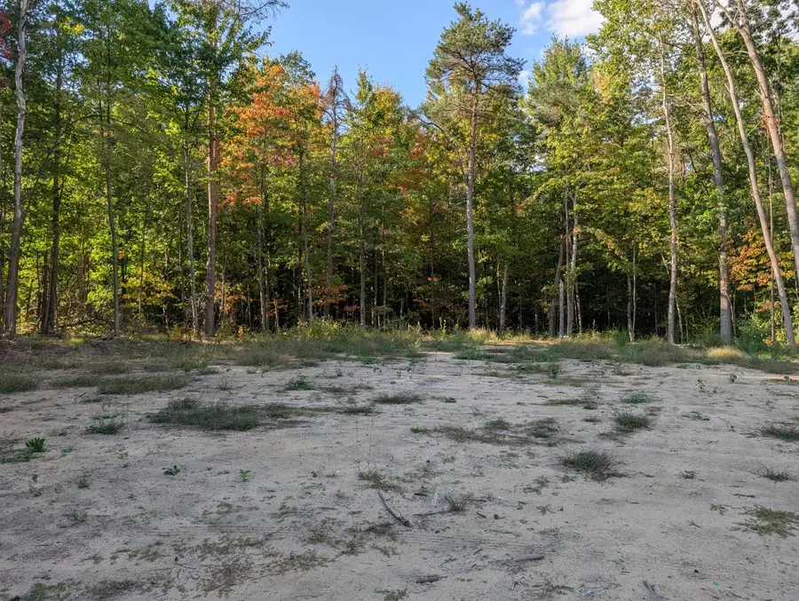 6698 E Skeels Road, Holton, MI 49425 - Image #2