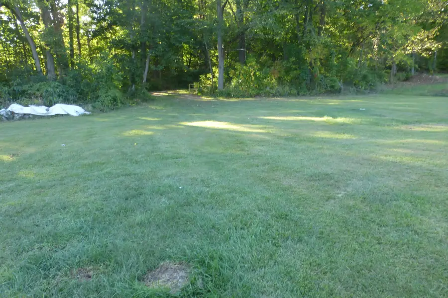 15646 W Clear Lake Rd. Road, Buchanan, MI 49107 - Image #2