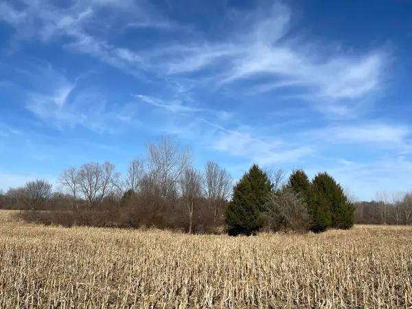 0 48th Avenue, Lawrence, MI 49064