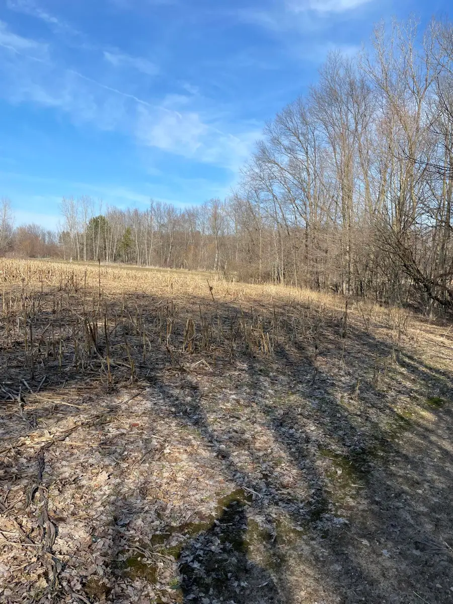 0 48th Avenue, Lawrence, MI 49064 - Image #3