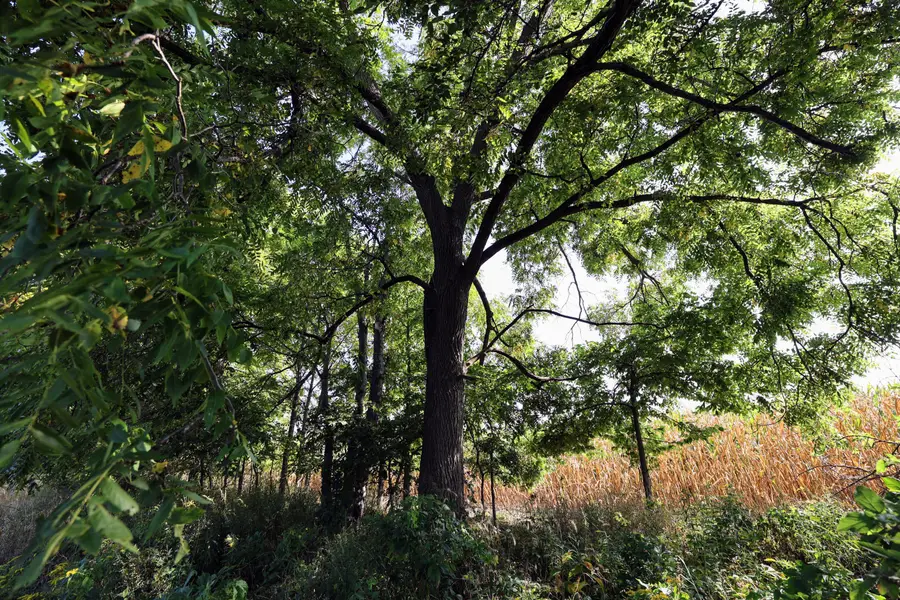 VL Center Rd Lot #WP001, Hastings, MI 49058 - Image #3