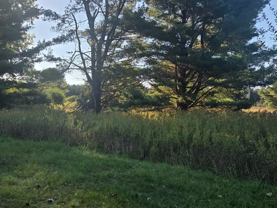 11517 Pine Crest Drive, Canadian Lakes, MI 49346 - Image #2