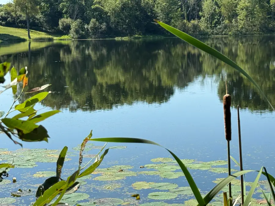 Vl - W Coral Road, Coral, MI 49322 - Image #2