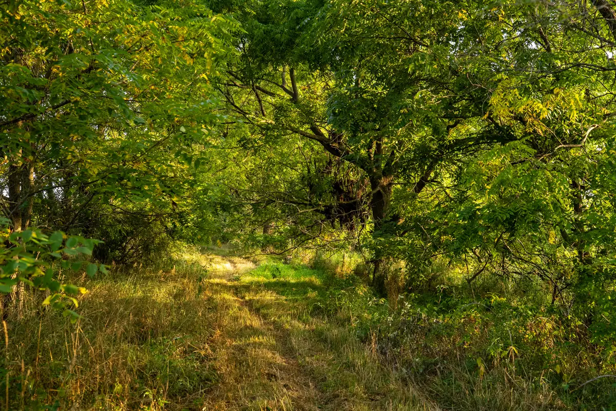 2681 Hadley Road, Lapeer, MI 48446 - Image #1