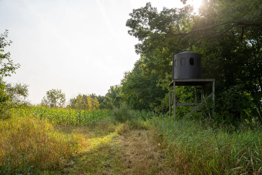 2681 Hadley Road, Lapeer, MI 48446 - Image #2