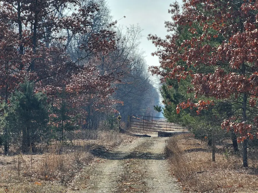 Lot B Jeffers Street, Irons, MI 49644 - Image #2