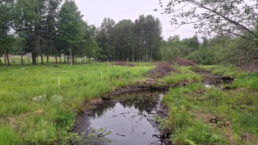 4640 N Harding Avenue, Harrison, MI 48625 - Image #2