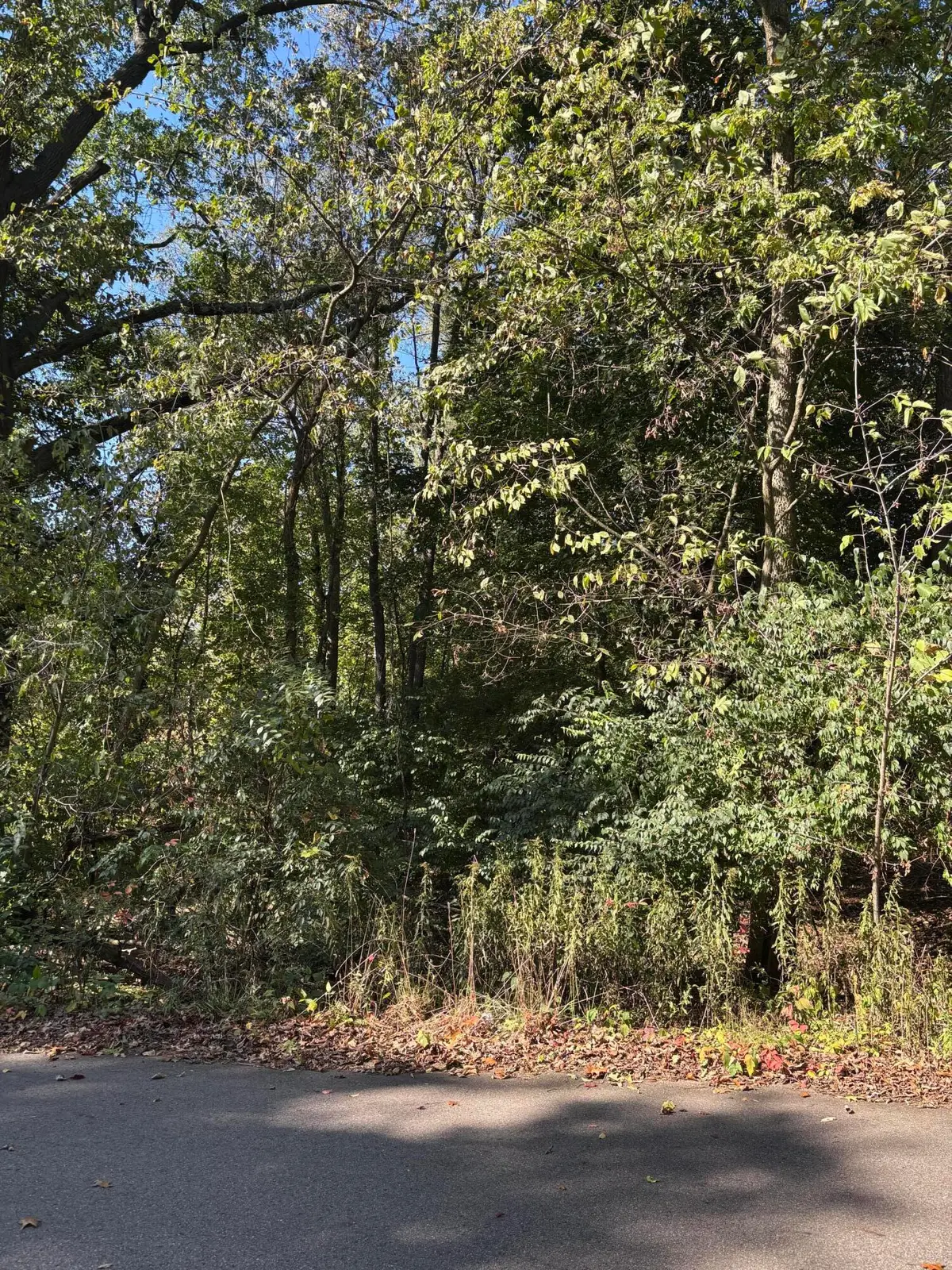 665 Shields Street, Kalamazoo, MI 49048 - Image #1