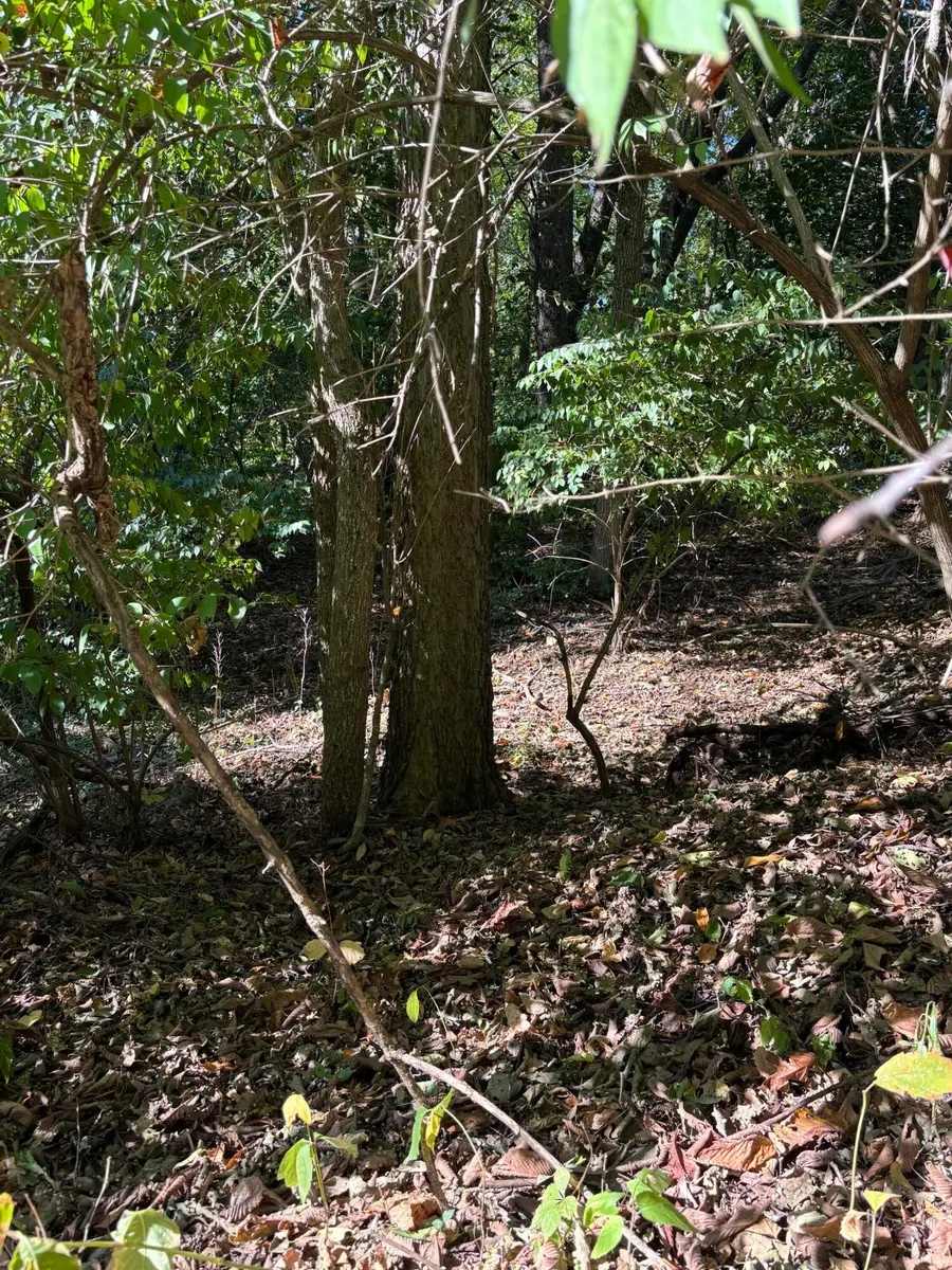 665 Shields Street, Kalamazoo, MI 49048 - Image #2