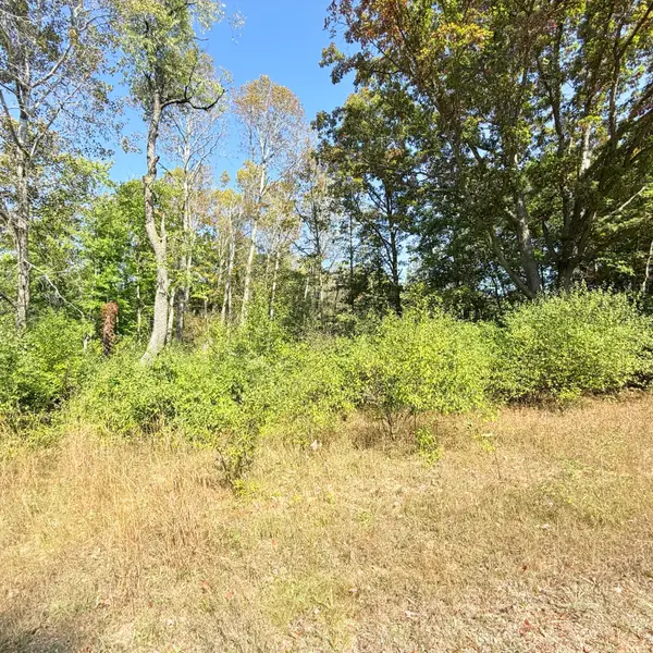 V/L 7 Mile Road, Stanwood, MI 49346