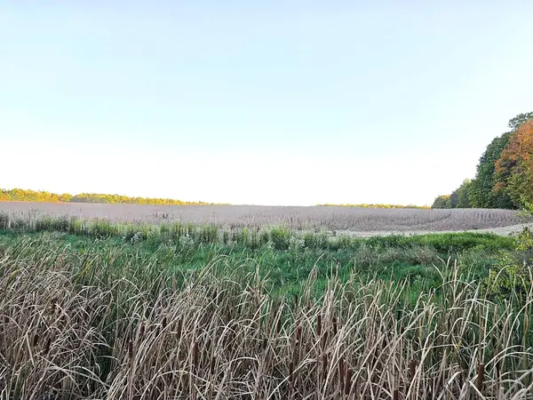 Wildt Highway, Bellevue, MI 49021