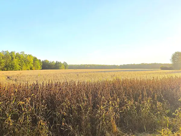 Wildt Highway, Bellevue, MI 49021