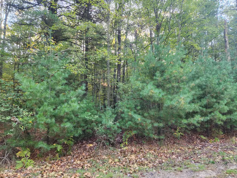 6842 White Pine Drive, Stanwood, MI 49346 - Image #2