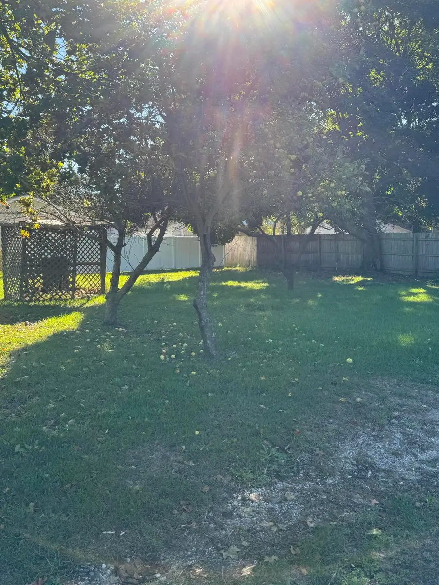 812 N 4th Street, Greenville, MI 48838 - Image #3