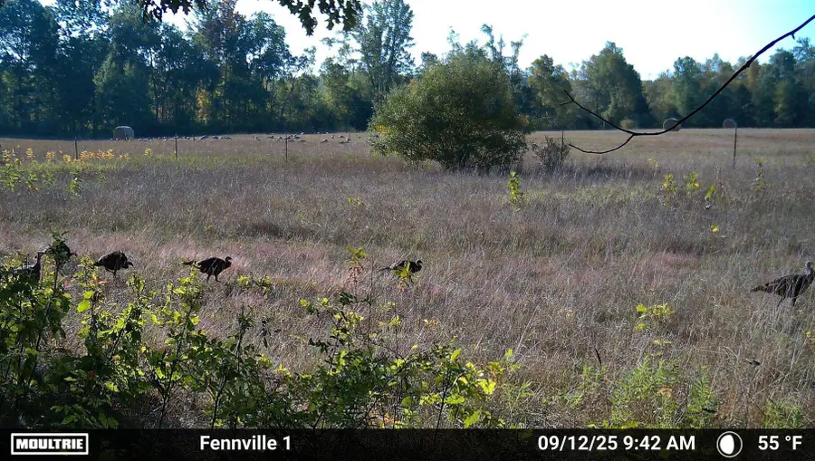 VL 45th Avenue, Barryton, MI 49305 - Image #3