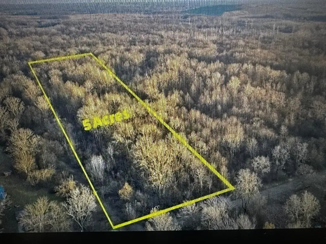 26055 Martinsville Road, New Boston, MI 48164 - Image #1