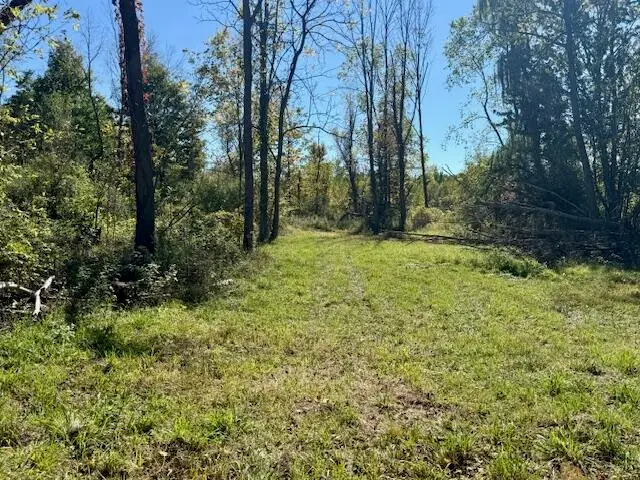 42593 Cr 390, Bloomingdale, MI 49026 - Image #3