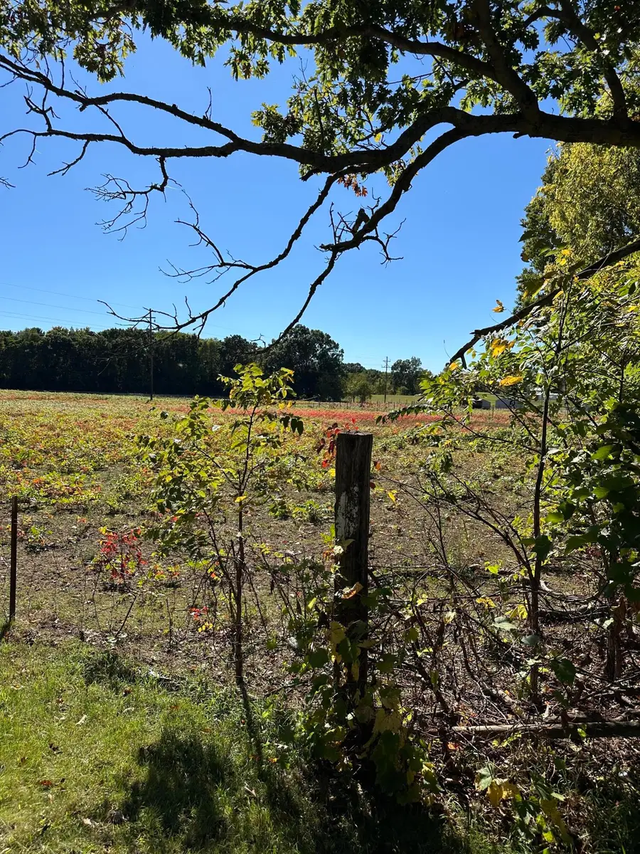 694 Pierce Road, Plainwell, MI 49080 - #3