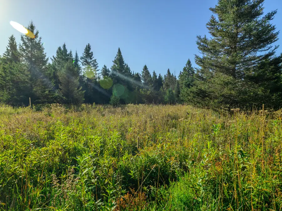 Lot 2 E 22 Mile Rd, Pickford, MI 49774 - Image #3