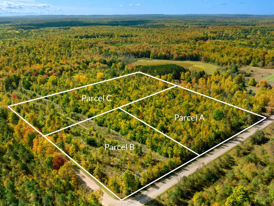 Parcel B Homestead Road, Beulah, MI 49617 - Image #2