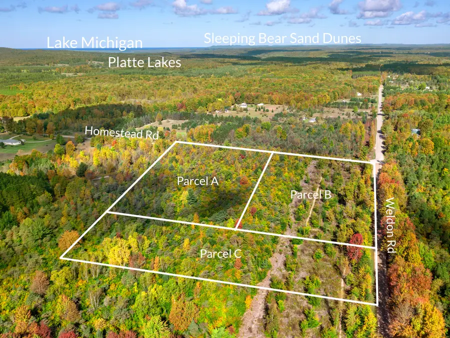 Parcel B Homestead Road, Beulah, MI 49617 - Image #3