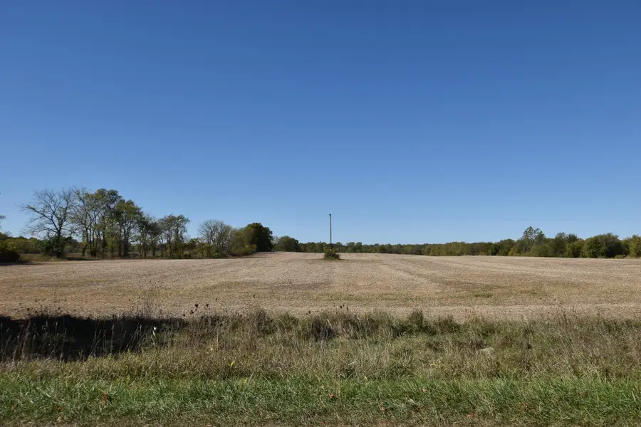 Brocklebank Road, Quincy, MI 49082 - Image #2