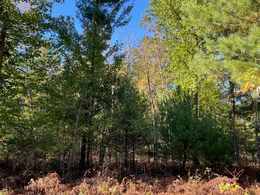 16553 Warner Street, Grand Haven, MI 49417 - Image #3