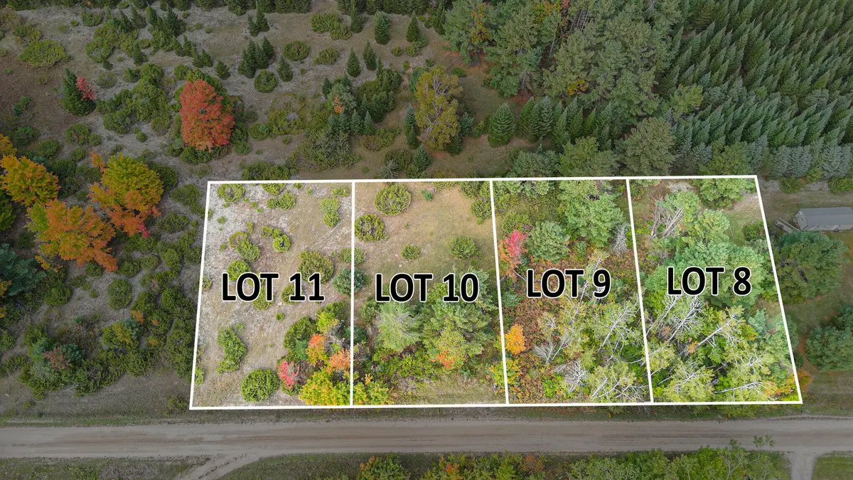 V/L Trout Creek Road, Cheboygan, MI 49721 - Image #1