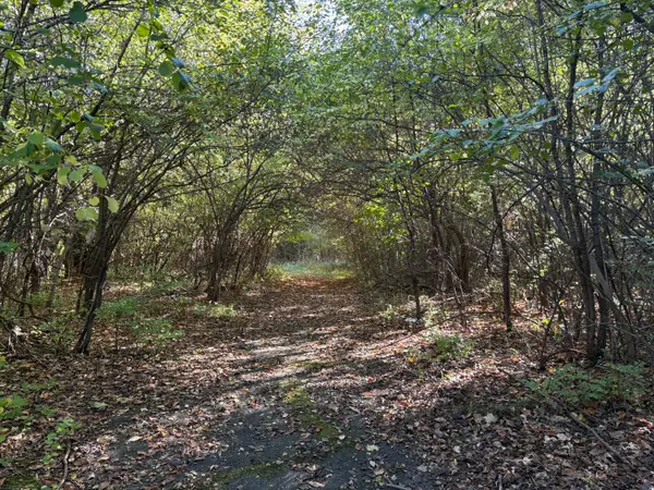 VL 40 Clinton Way, Jackson, MI 49201