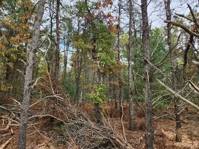 Parcel L Tatanka Trail, Baldwin, MI 49304 - Image #3