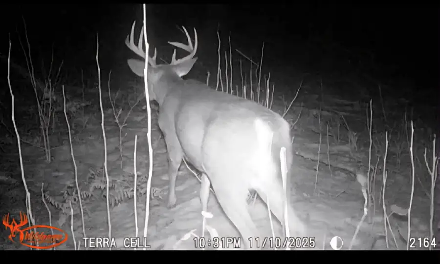 V/l E 22 3/4 Rd, Manton, MI 49663 - Image #2