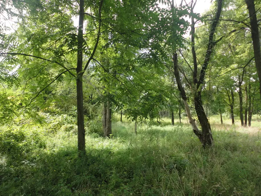 parcel A Cr 215, Grand Junction, MI 49056 - Image #3