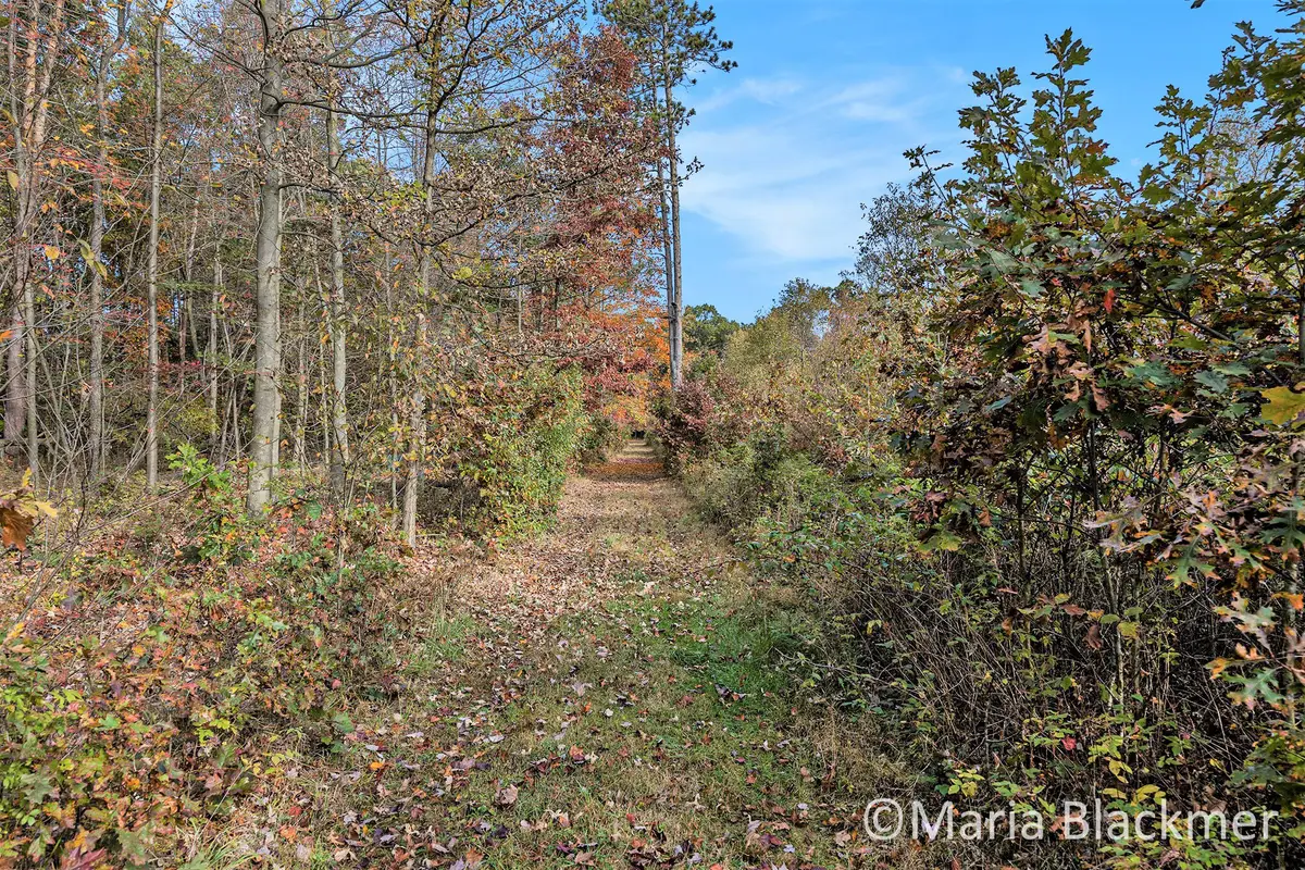 E Charles Road, Ionia, MI 48846 - Image #1
